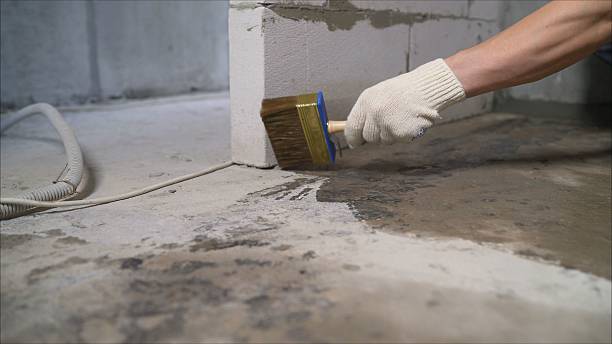 SJ Waterproofing Pros Basement Waterproofing coverage map for Birnamwood, WI and surrounding area